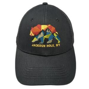 Jackson Hole WY Bear Snapback Mesh Back Trucker Hat Black One Size Blue 84